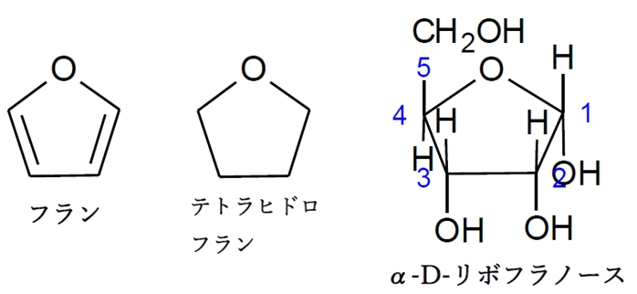 糖 フラノース，ピラノースとは？違い